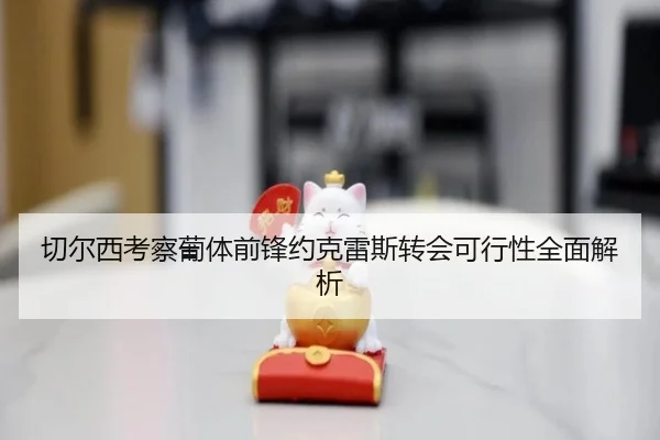 切尔西考察葡体前锋约克雷斯转会可行性全面解析